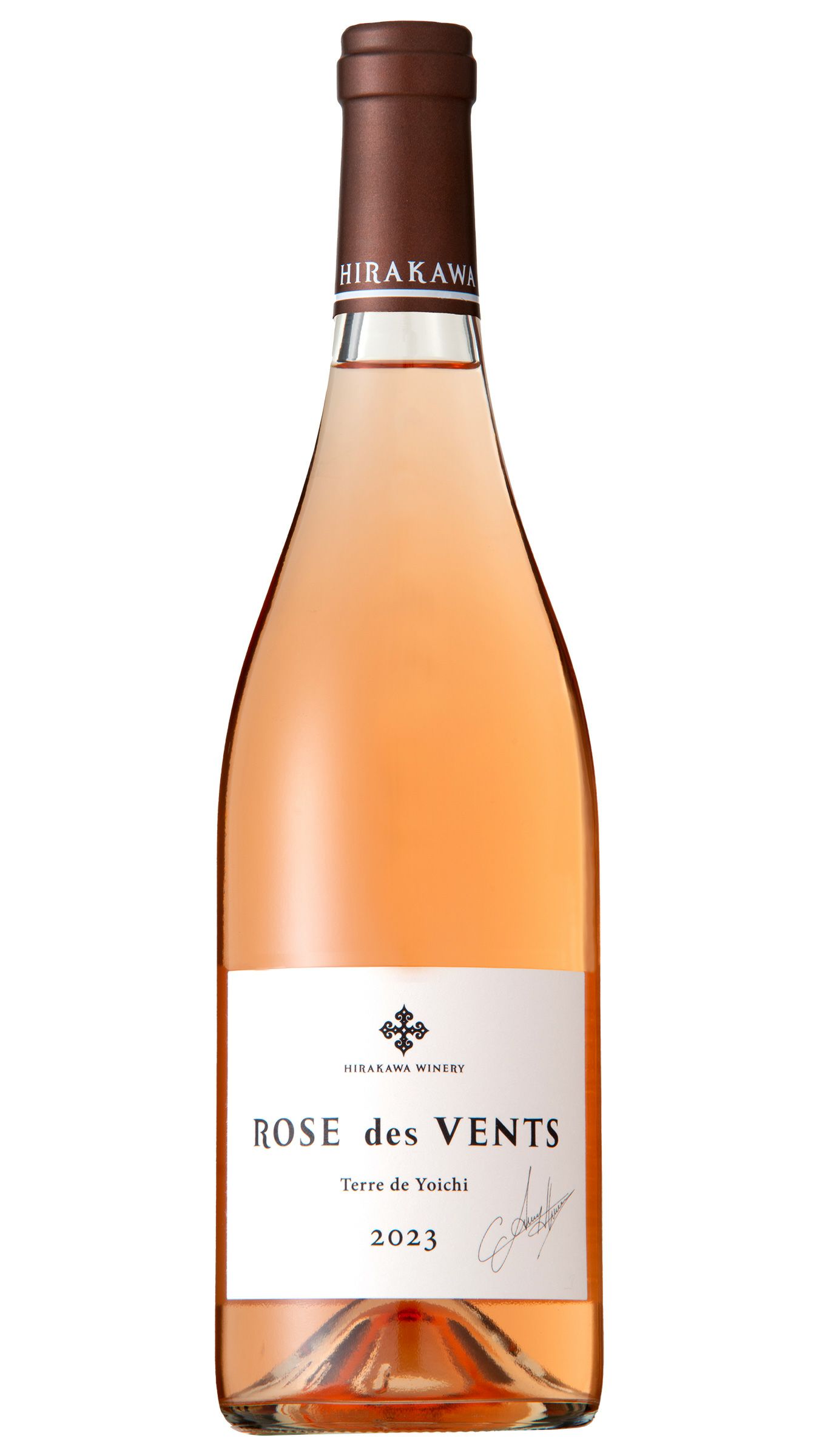 Rose des Vents Terre de Yoichi 2023 ローズ・デ・ヴォン テール・ド